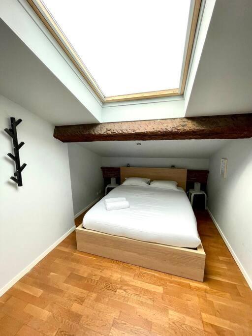 Le Charmeur - Appartement Climatise Avec 2 Chambres - Hypercentre ตูลูส ภายนอก รูปภาพ