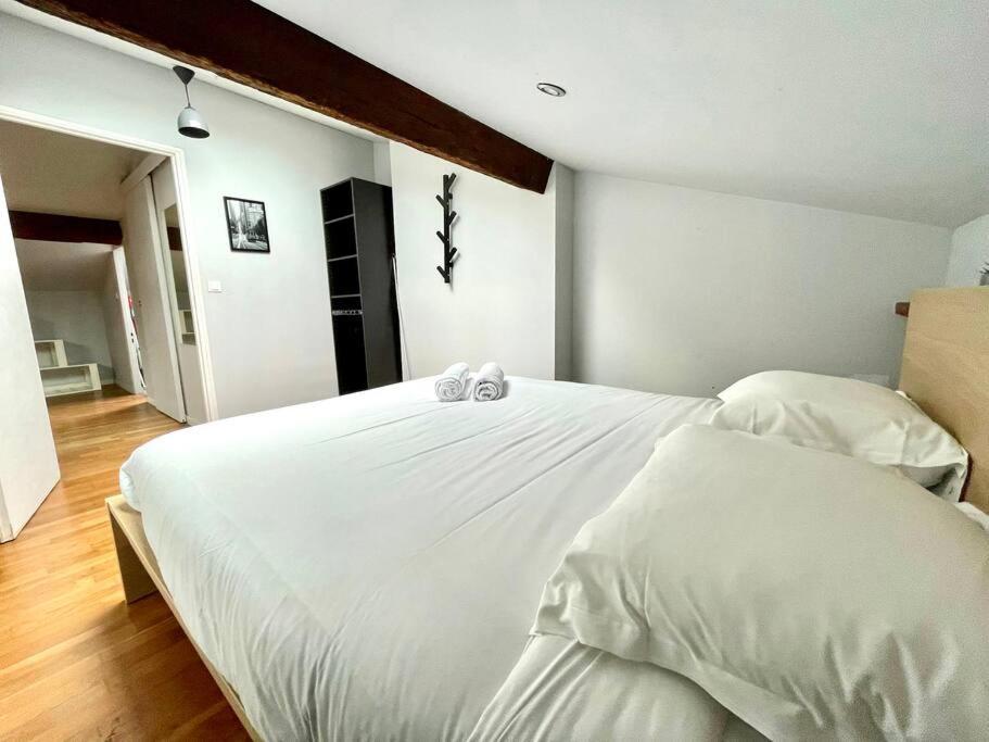 Le Charmeur - Appartement Climatise Avec 2 Chambres - Hypercentre ตูลูส ภายนอก รูปภาพ
